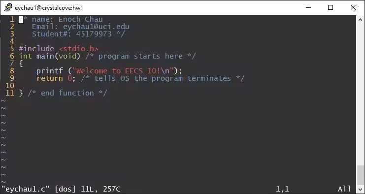 first assignment in vim