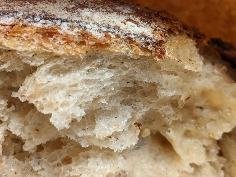 backhaus bread