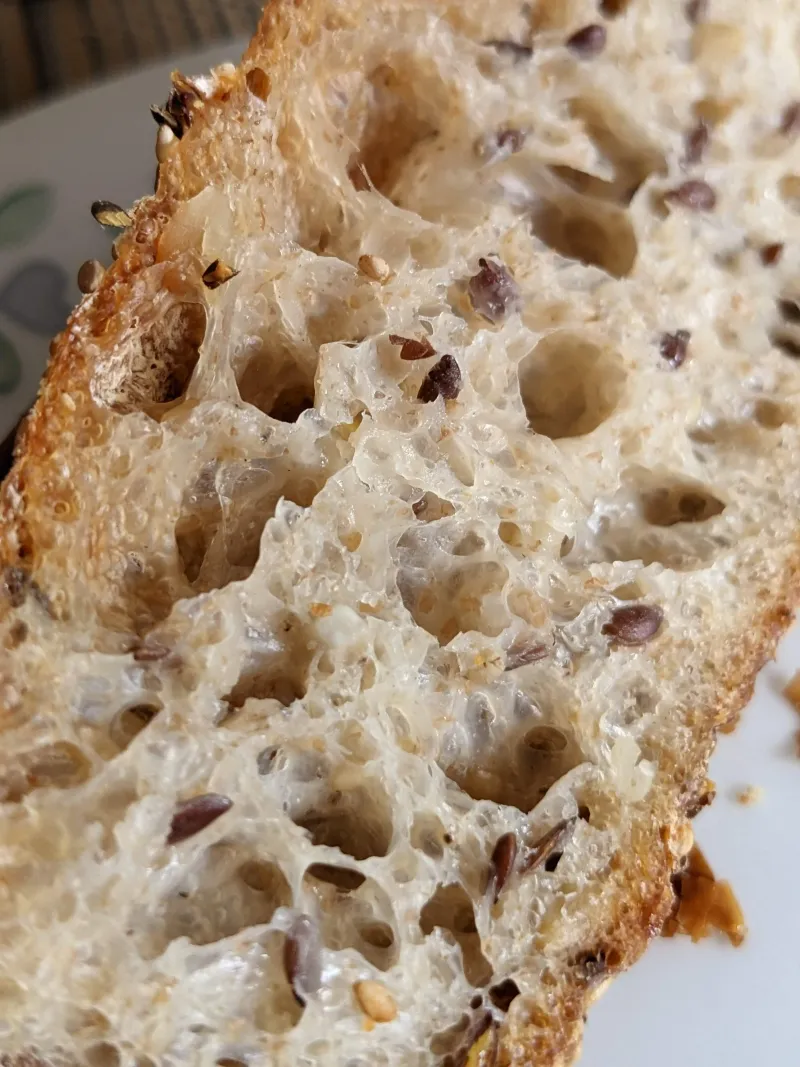 backhaus seeded sourdough